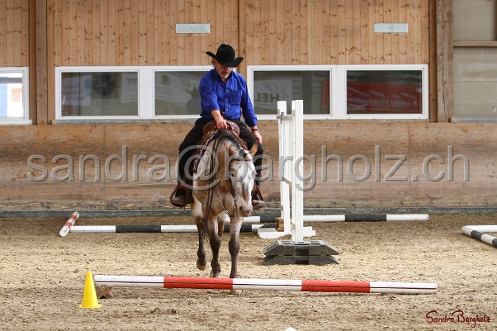 26-ApHC GT_123.jpg